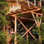 Wild House דונובאלי