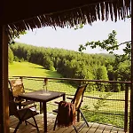 Lodge Wild House