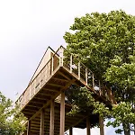 אכסניה Wild House