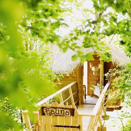 Wild House Domek letniskowy