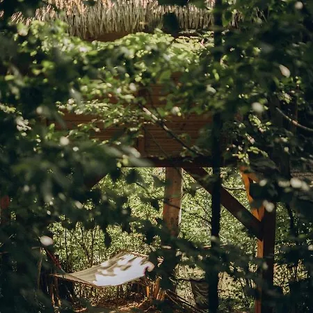 Деревянный коттедж Wild House *