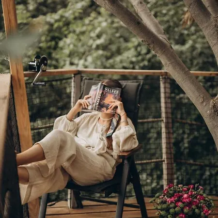 Wild House דונובאלי