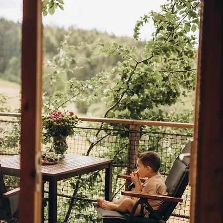 Wild House Деревянный коттедж