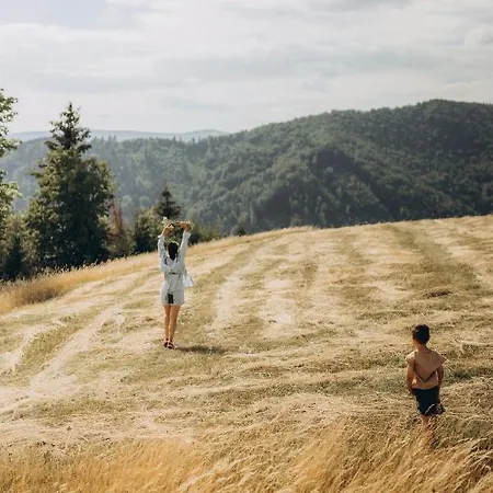 Деревянный коттедж Wild House