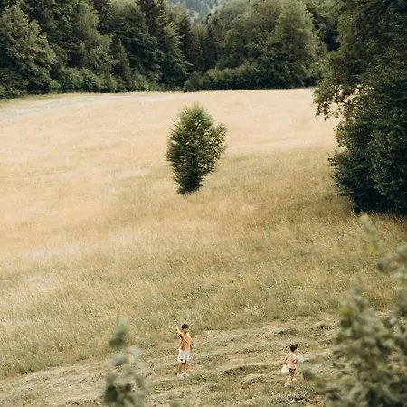 Wild House Деревянный коттедж