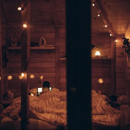 Деревянный коттедж Wild House