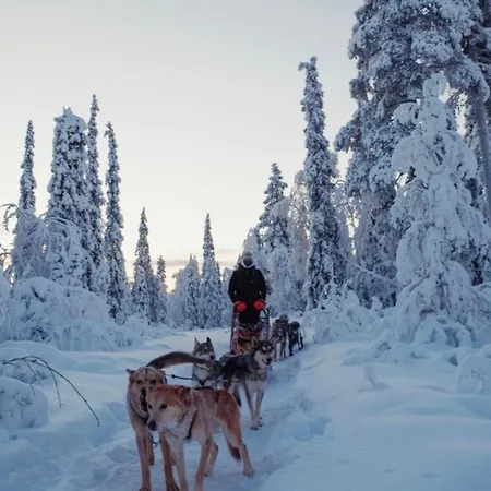 Деревянный коттедж Wild House *