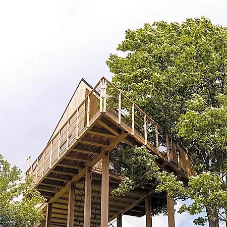 Wild House *
