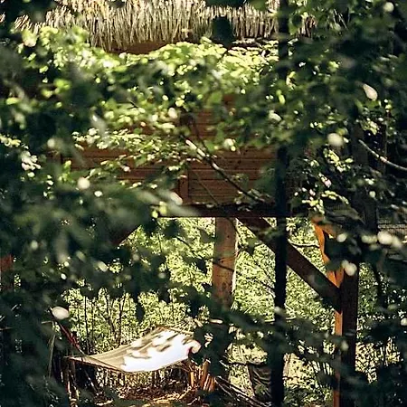 Wild House