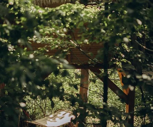 Lodge Wild House *
