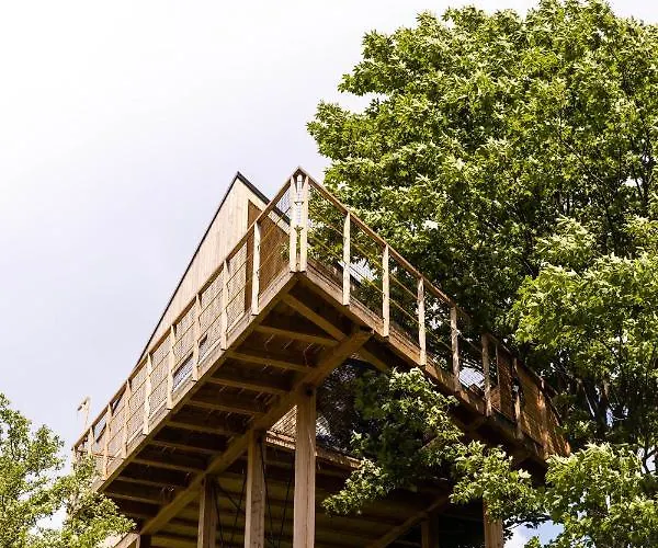 Lodge Wild House